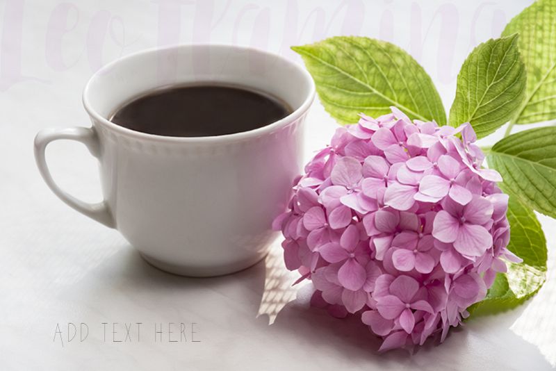 White coffee mug floral stock photo feminine romantic example image 1