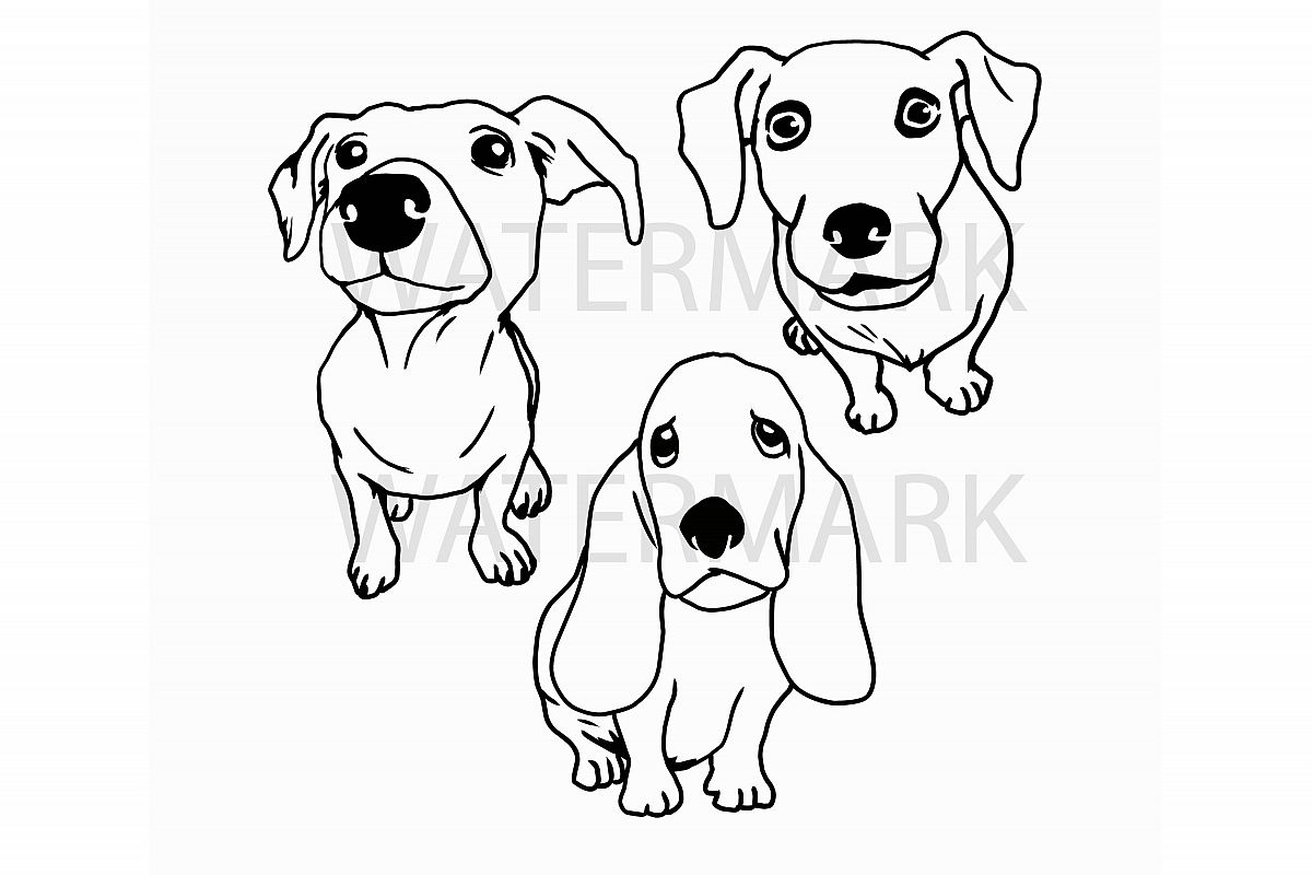 Bundle Three Dogs - Separated SVG/JPG/PNG - Hand Drawing example image 1