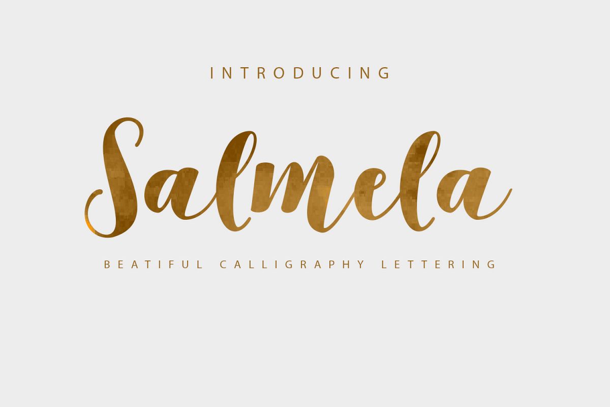 Salmela Script example image 1