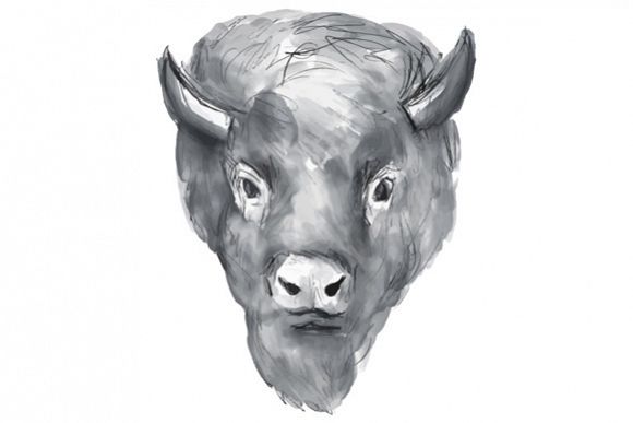 American Bison Head Watercolor example image 1