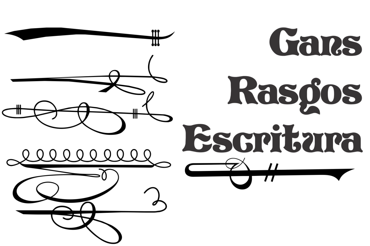 Gans Rasgos Escritura example image 1