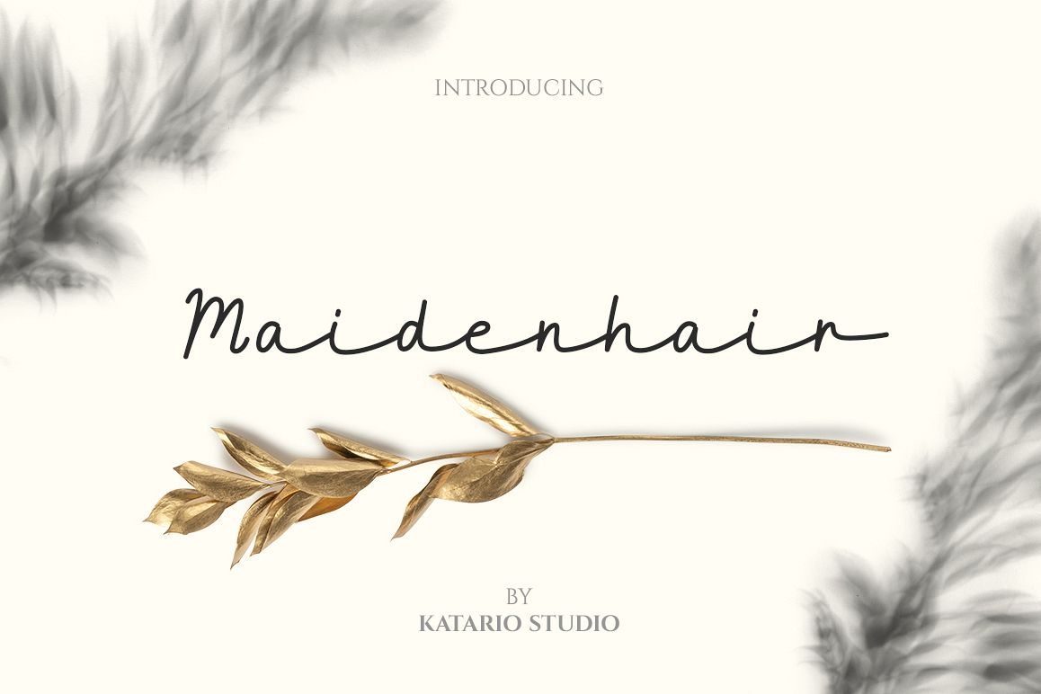 Maidenhair example image 1