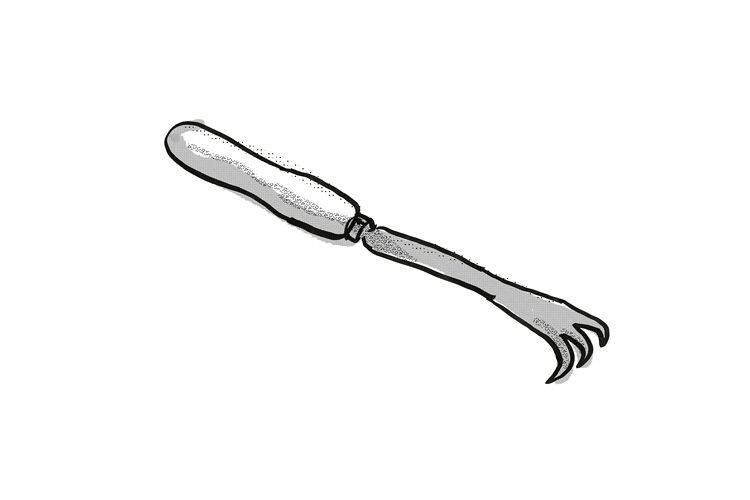 hand cultivator Garden Tool Cartoon Retro Drawing example image 1