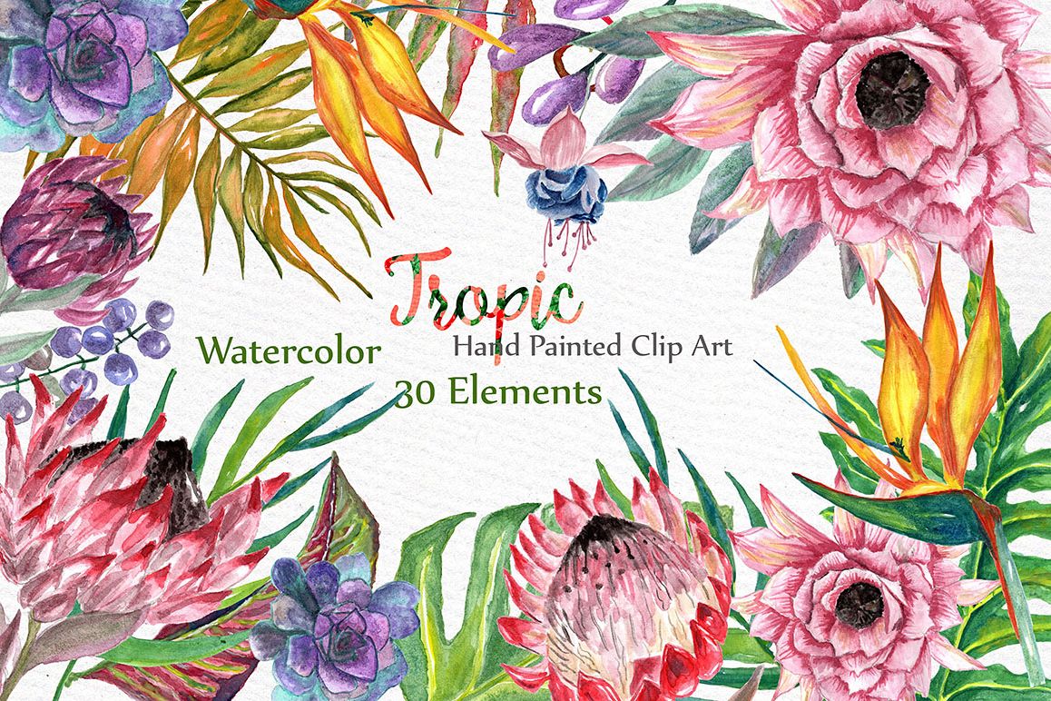 Watercolor Tropic clipart example image 1
