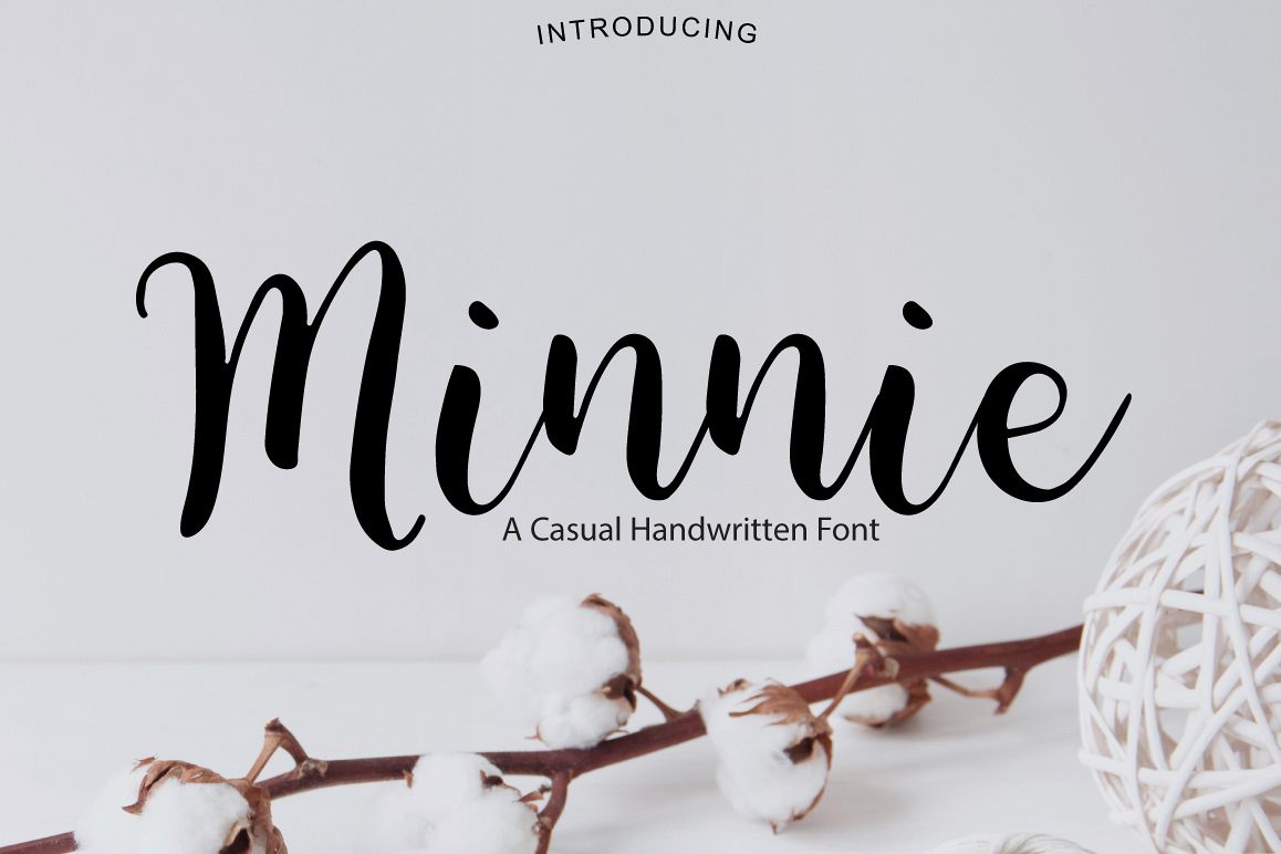 Minnie example image 1