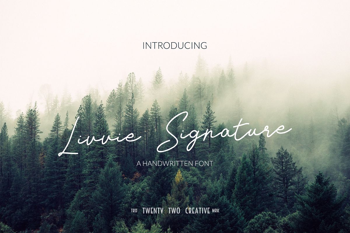Livvie Signature Love Font example image 1