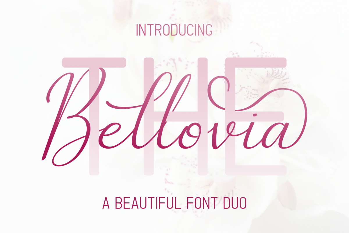 The Bellovia Font Duo example image 1