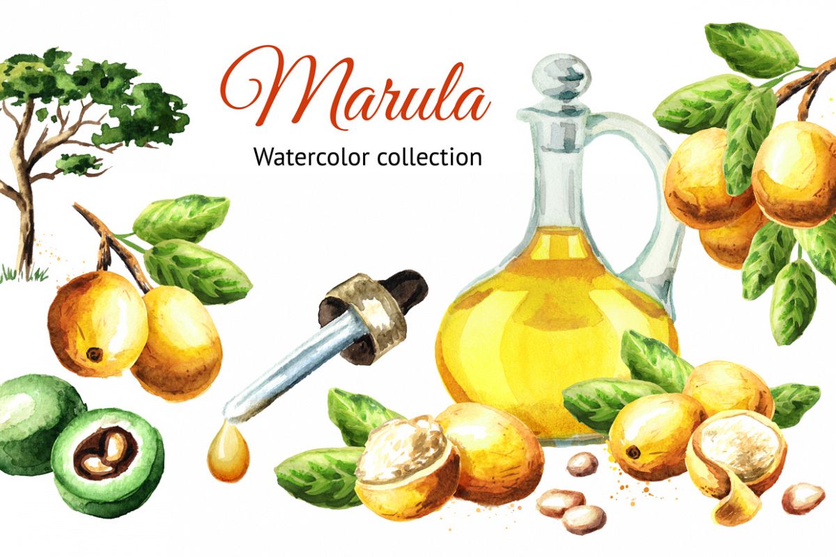 Marula example image 1