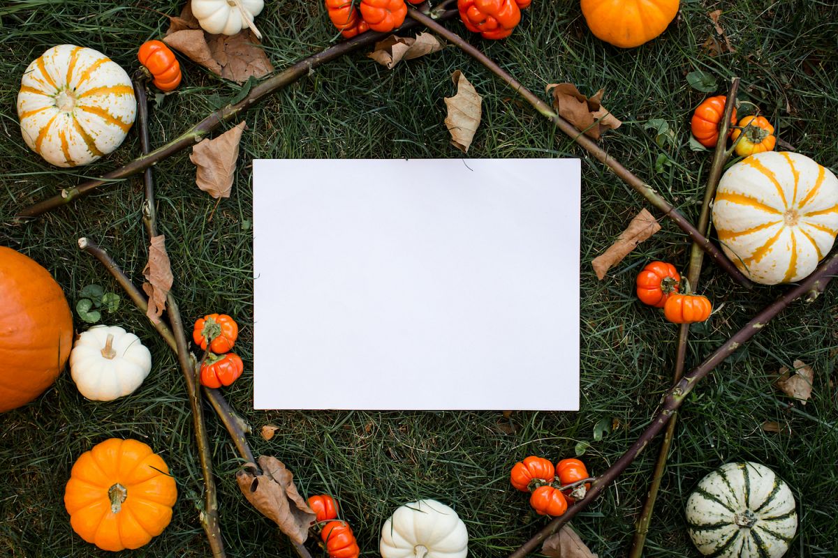 Autumn mockup with a lot of different pumpkins example image 1