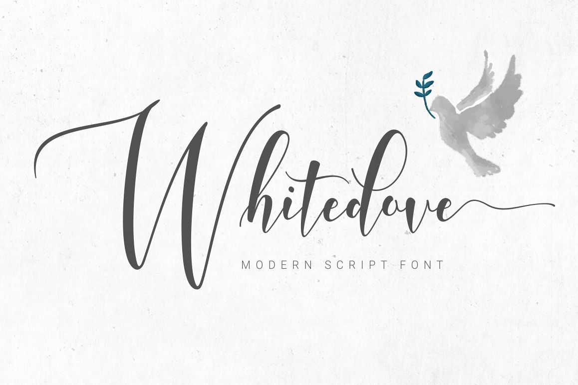 Whitedove Modern Script example image 1