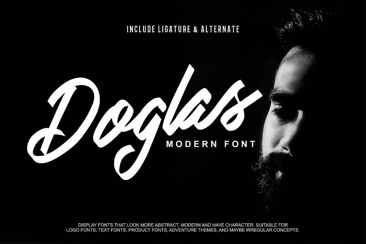 Doglas | Modern Script Font example image 1