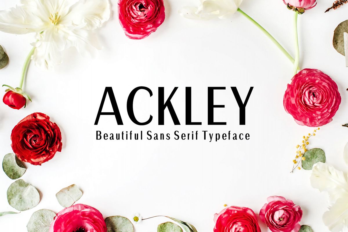 Ackley Beautiful Sans Serif Typeface example image 1