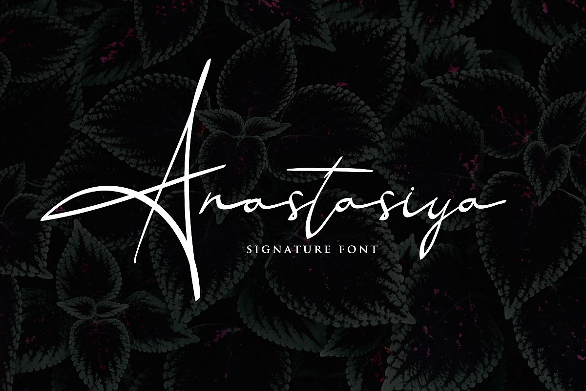 Anastasiya Elegant Signature Font example image 1