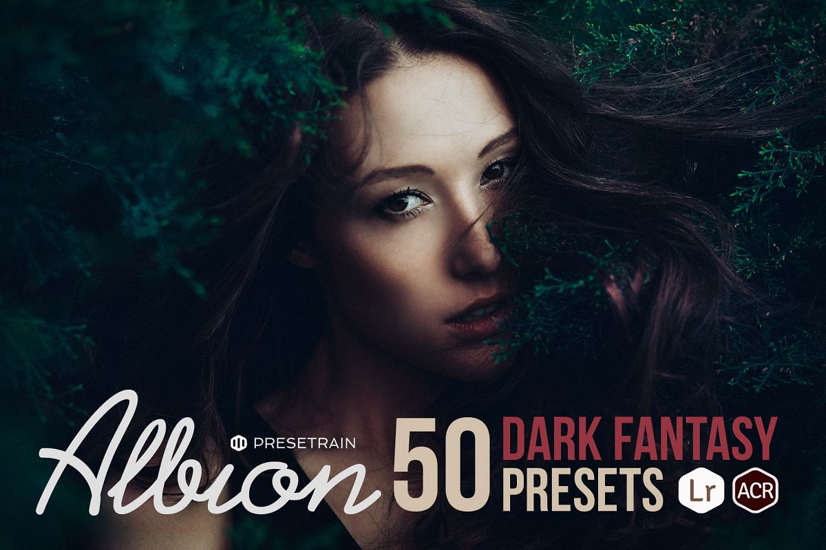 Albion Dark Fantasy Presets example image 1