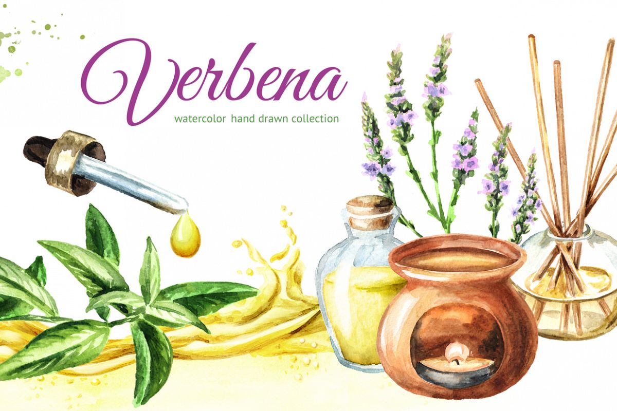 Verbena. Watercolor collection example image 1