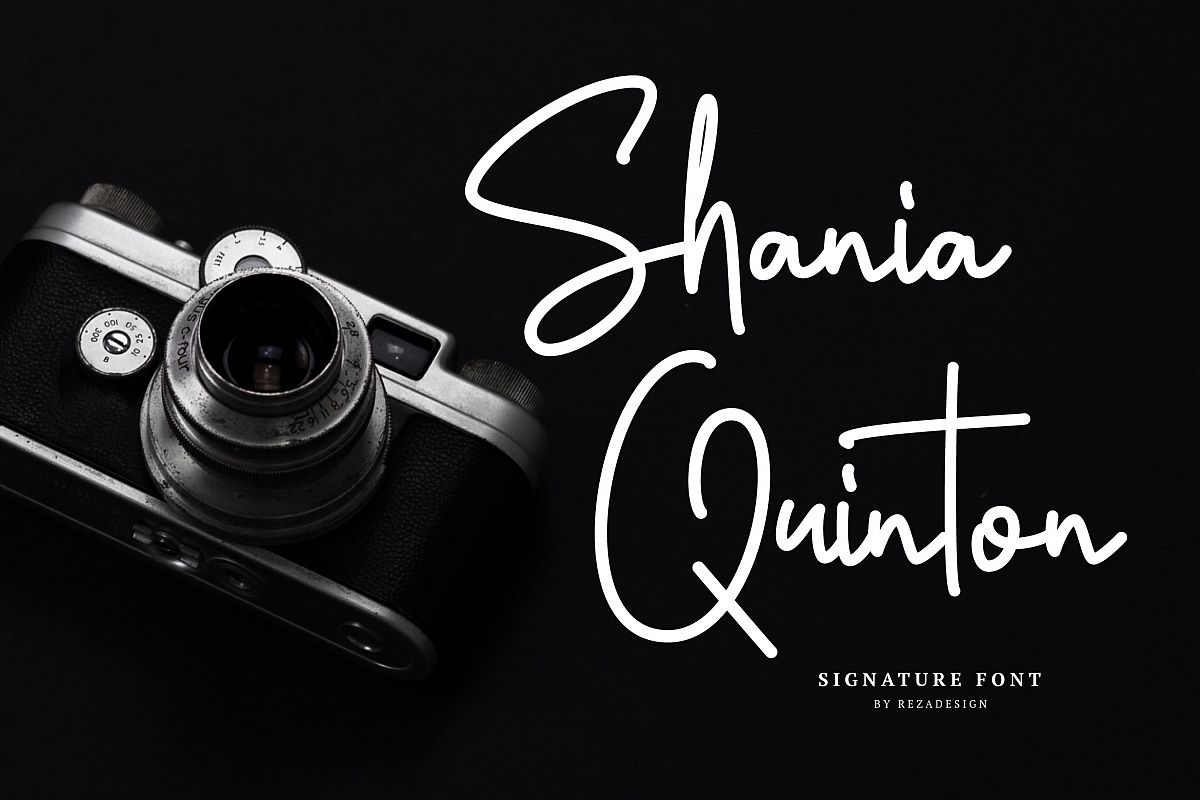 Shania Quinton Font example image 1