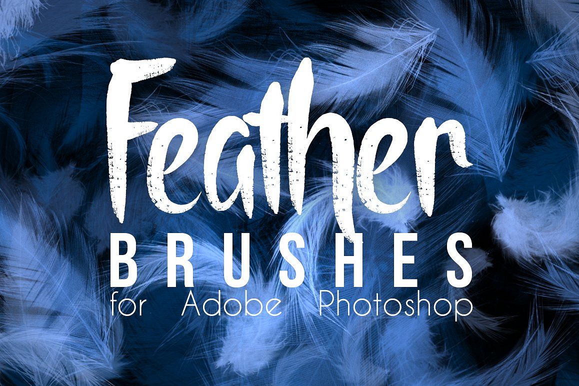 Real Feather Photoshop Brushes example image 1