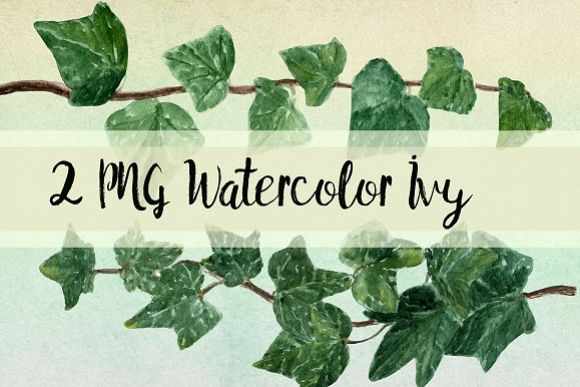 Watercolor Ivy Clip Art - 2 PNG example image 1