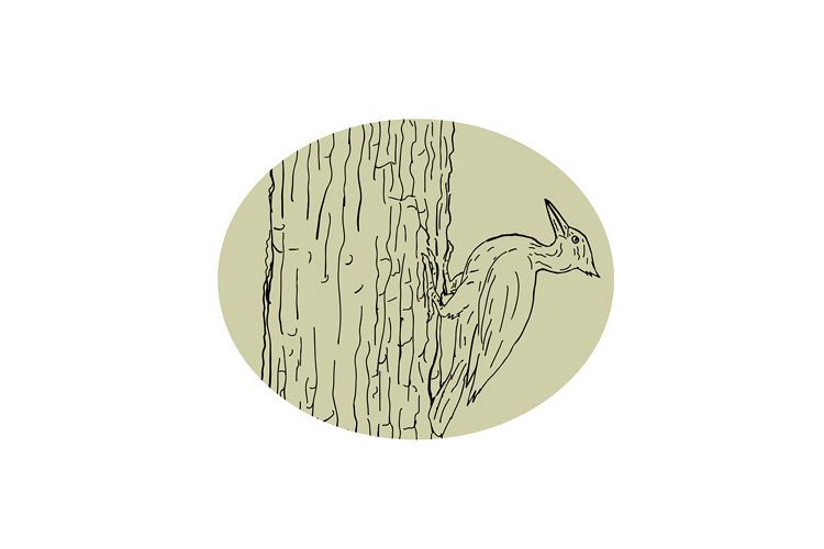Woodpecker Pecking Tree Drawing example image 1