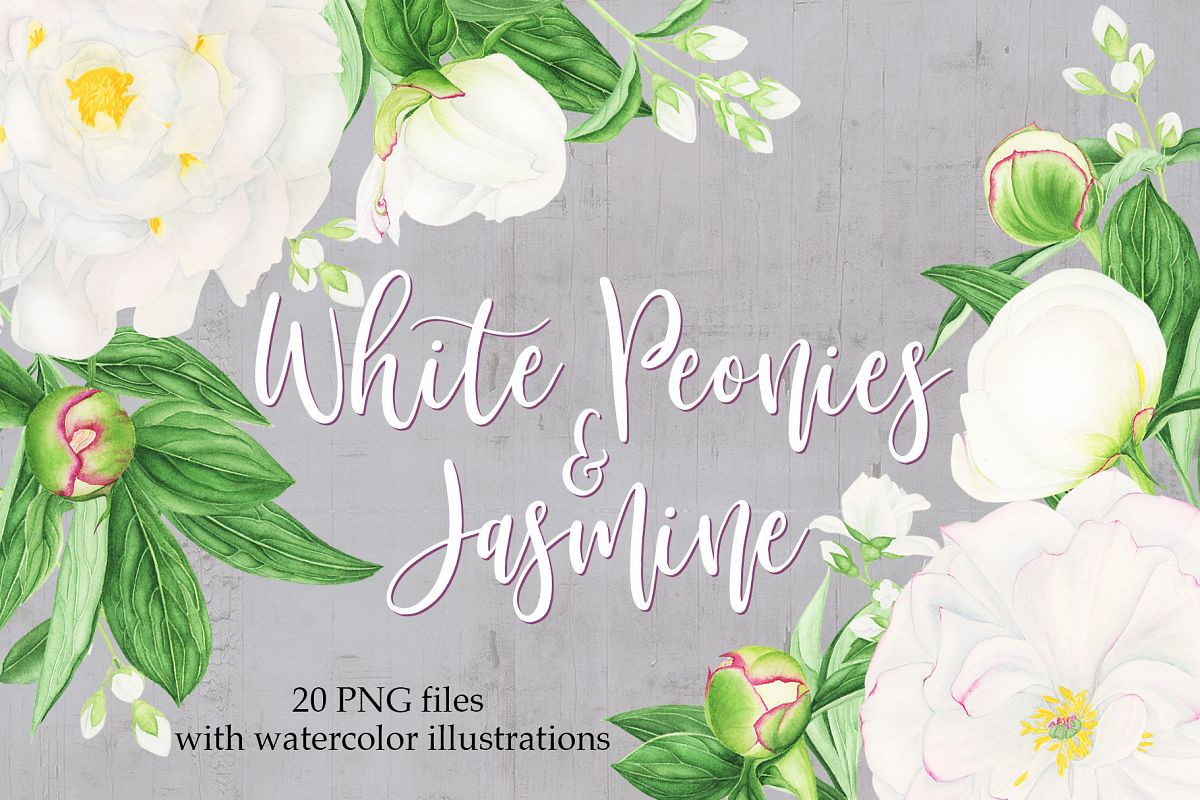 Watercolor White Peonies and Jasmine example image 1