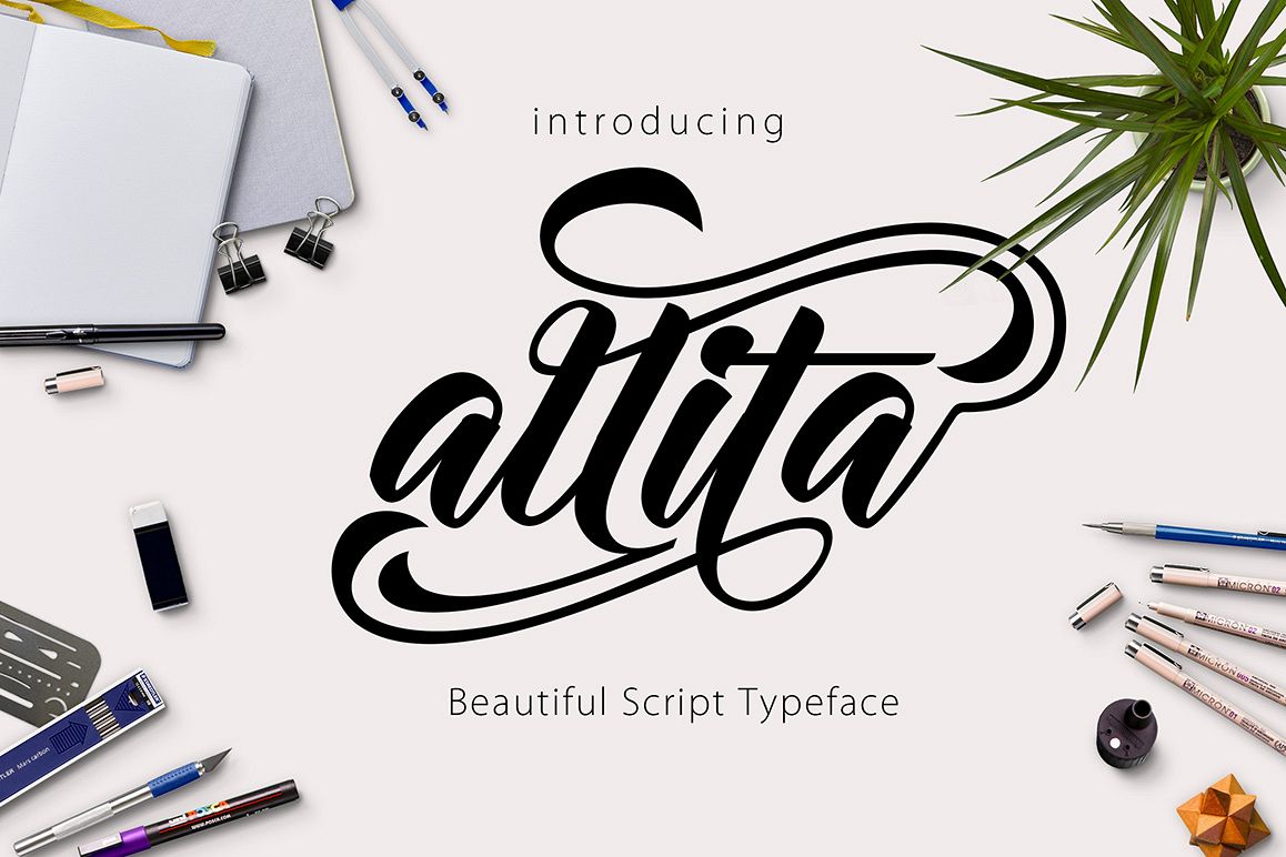 Allita Script example image 1