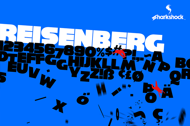 Reisenberg example image 1