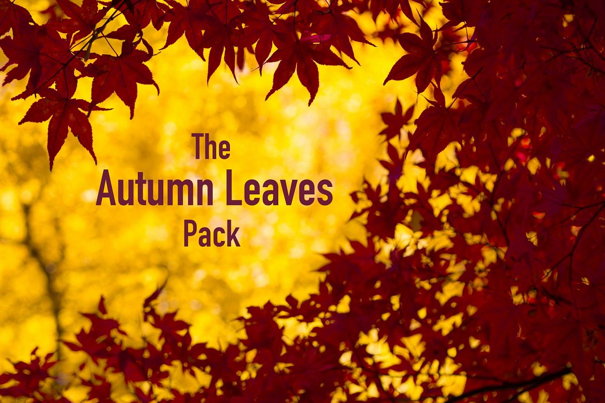The AUTUMN LEAVES Pack example image 1