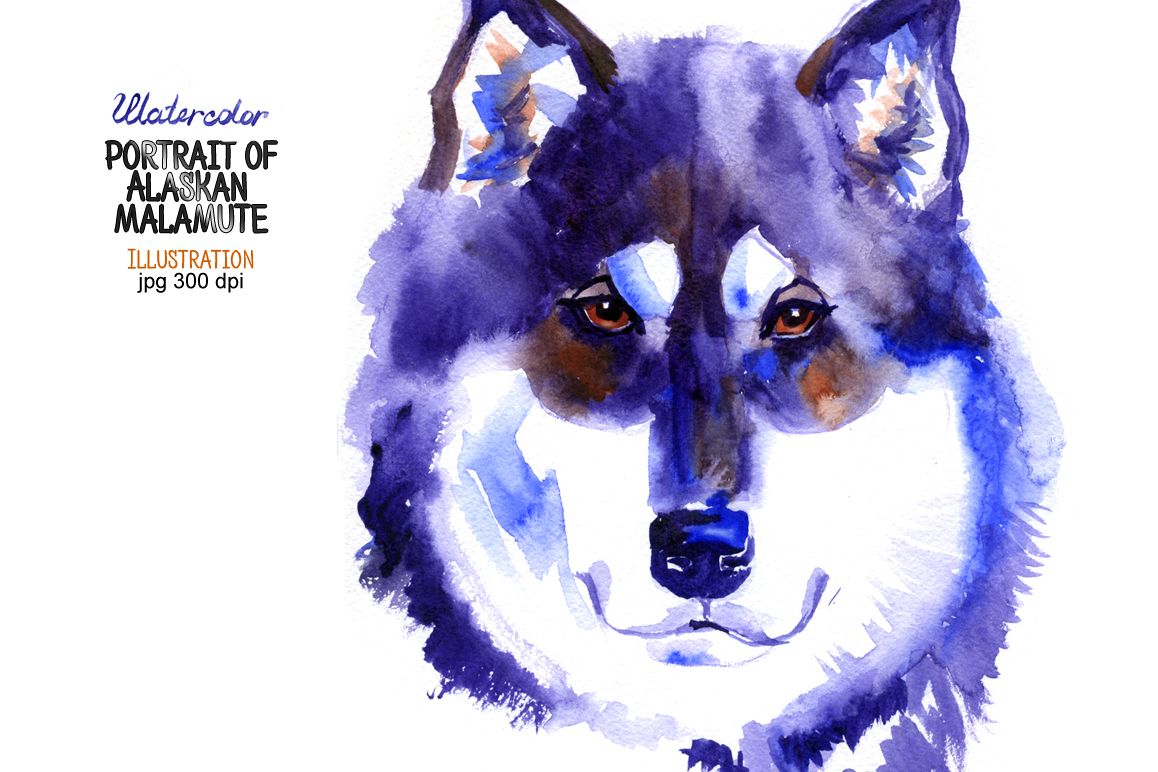 Watercolor Alaskan malamute example image 1