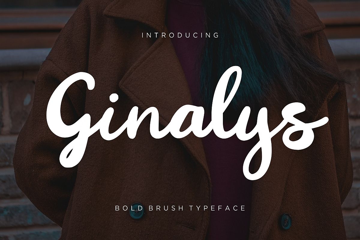 Ginalys Bold Brush example image 1