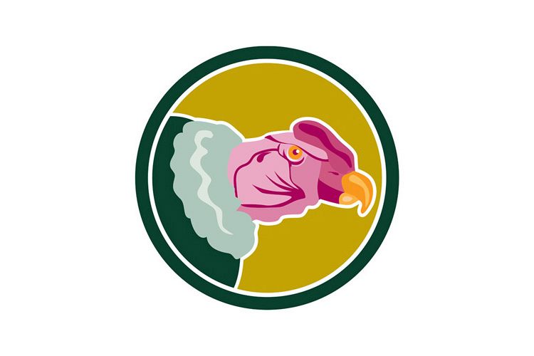 California Condor Head Circle Retro example image 1