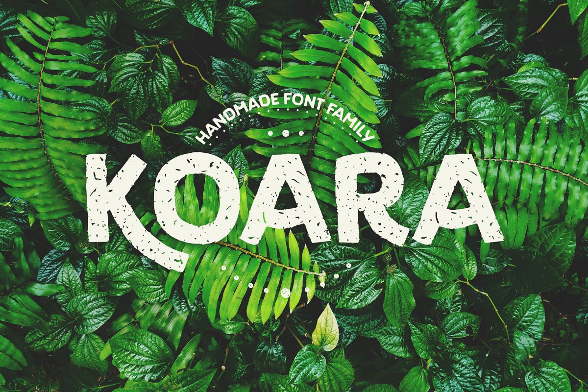 Koara example image 1