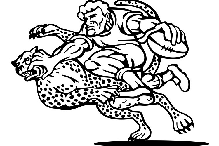rugby player tackled by cheetah example image 1
