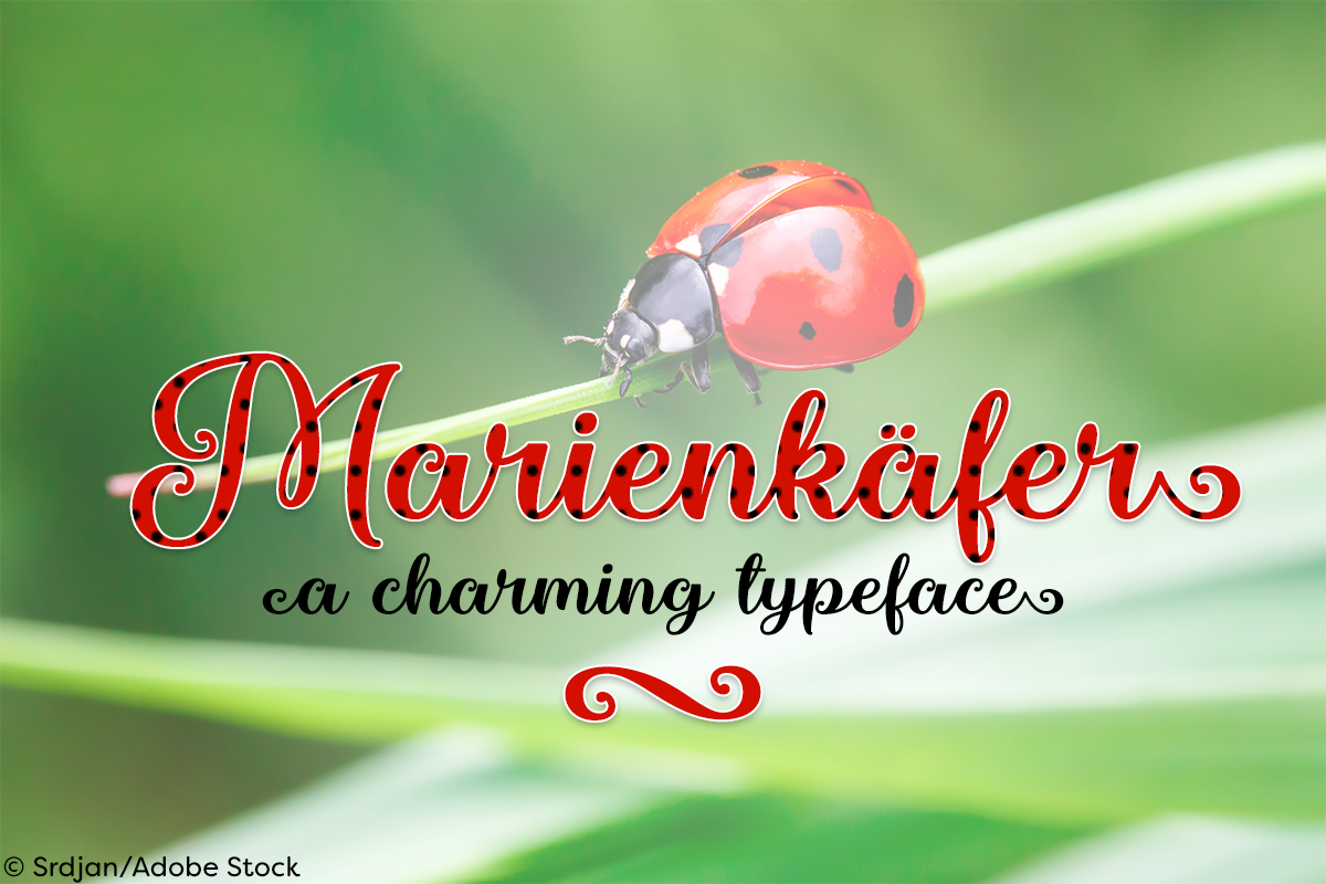 Marienkaefer example image 1
