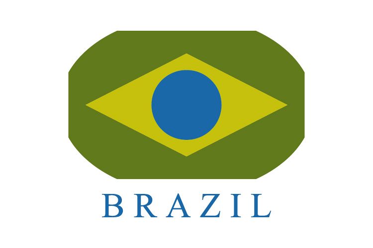 Brazil flag example image 1