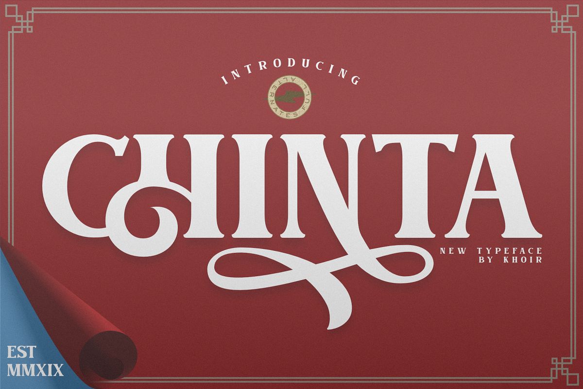 CHINTA example image 1