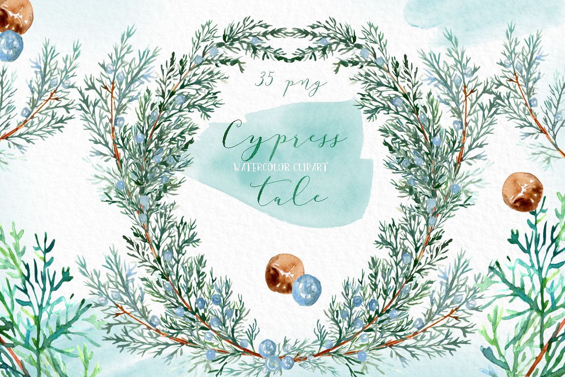 Cypress tale. Watercolor clipart. Cypress christmas branches example image 1