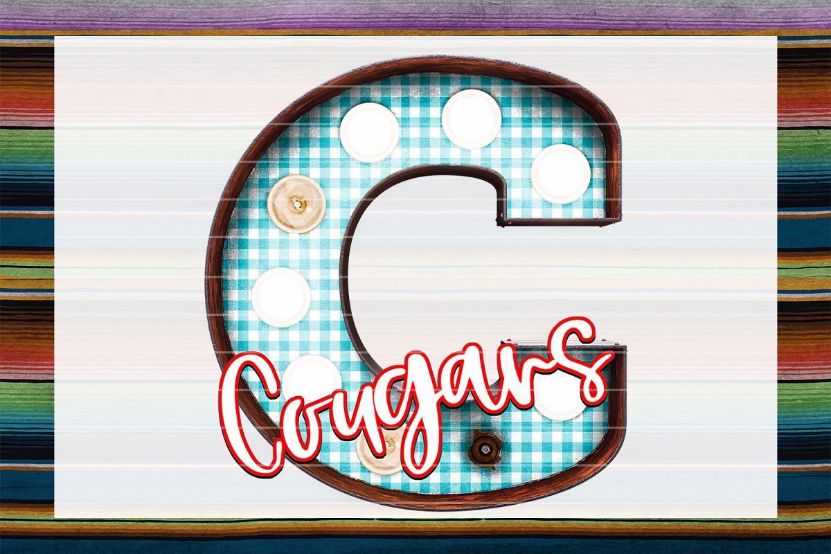 Cougars Gingham Marquee Sublimation PNG example image 1