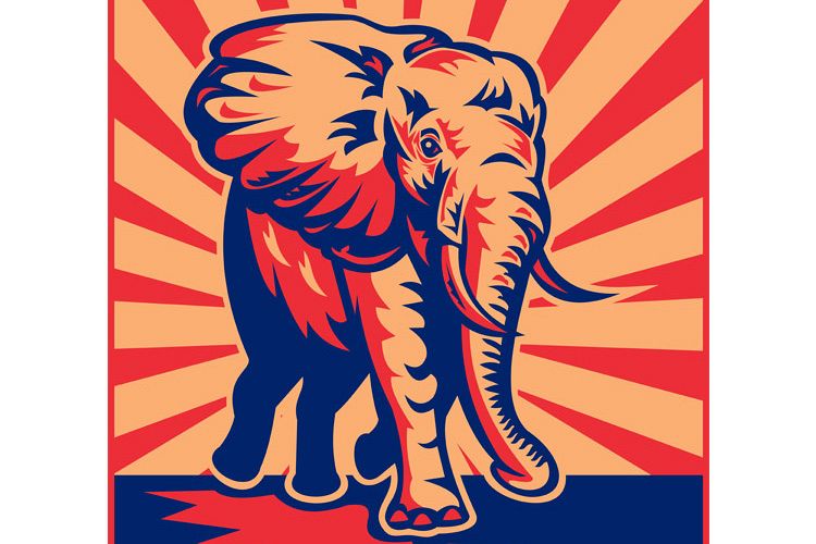 african bull elephant charging example image 1