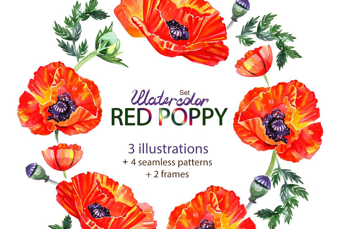 Watercolor poppy - flower set. example image 1