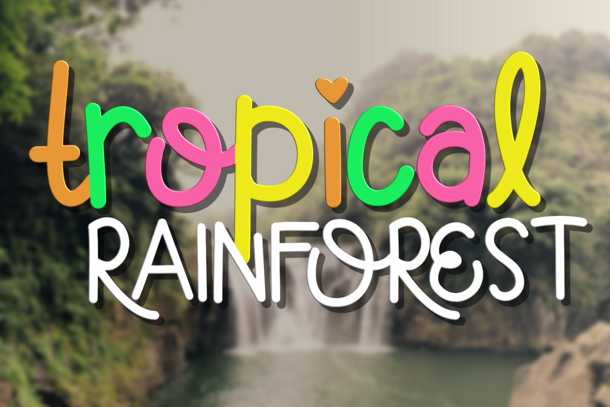 Tropical Rainforest example image 1