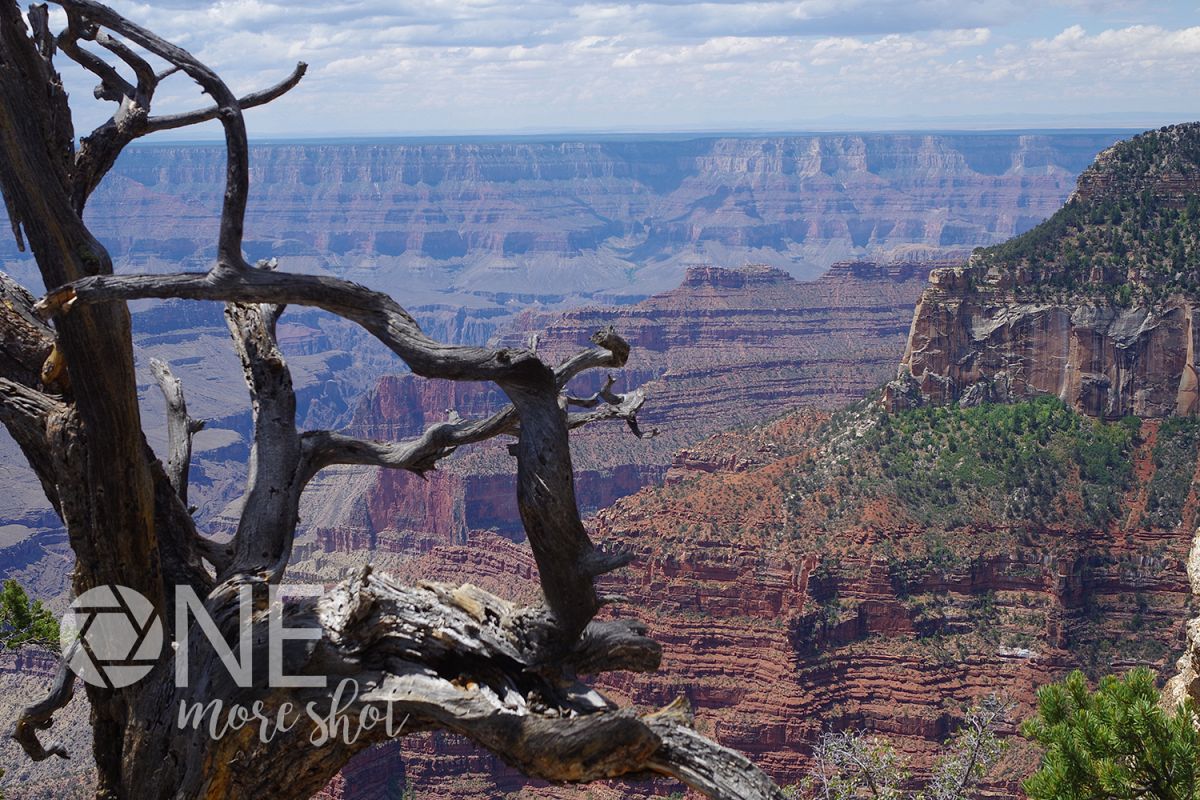 Grand Canyon Stock Photo - High Resolution Mountain Photo example image 1