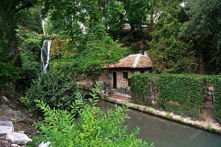 Picturesque parks of Bulgaria. Many types of vegetation example image 1