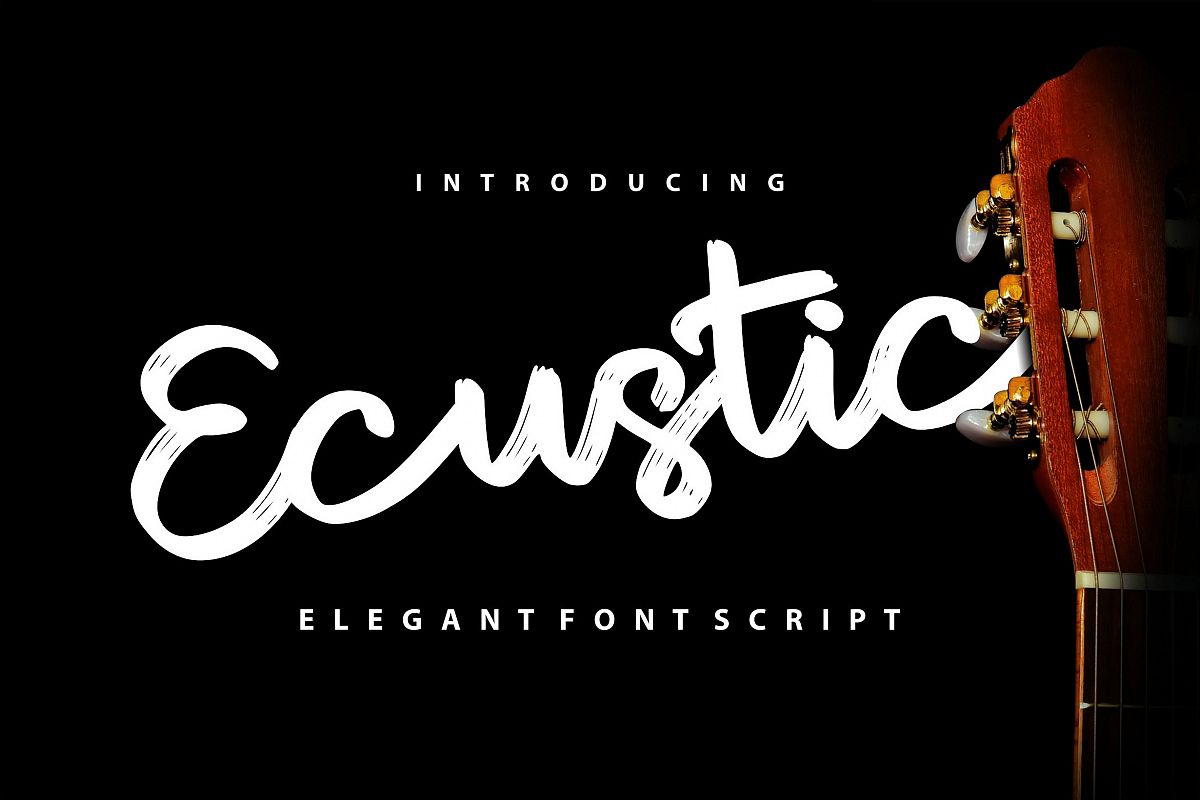Ecustic | Elegant Script Font example image 1