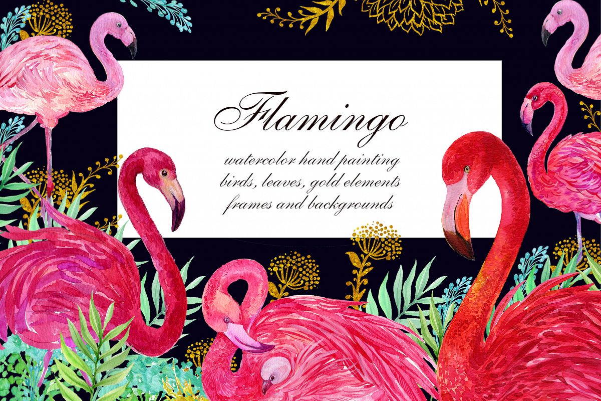 Flamingo.birds clipart. Watercolor Illustration example image 1