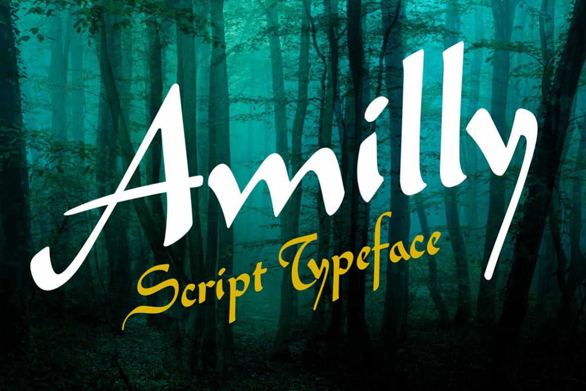 Amilly Script example image 1