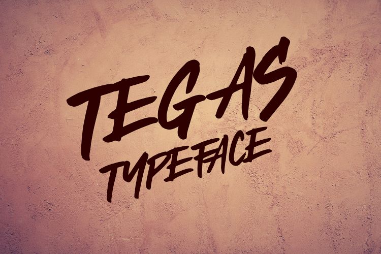 TEGAS TYPEFACE example image 1