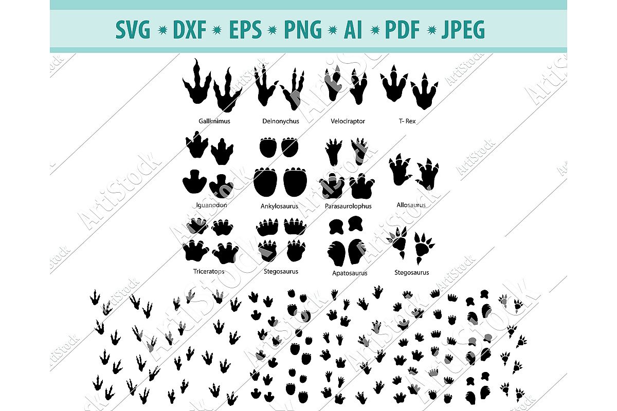 Download Animal Tracks SVG, Animal paws SVG,Tracks SVG, Dxf, Png, Eps (412855) | SVGs | Design Bundles