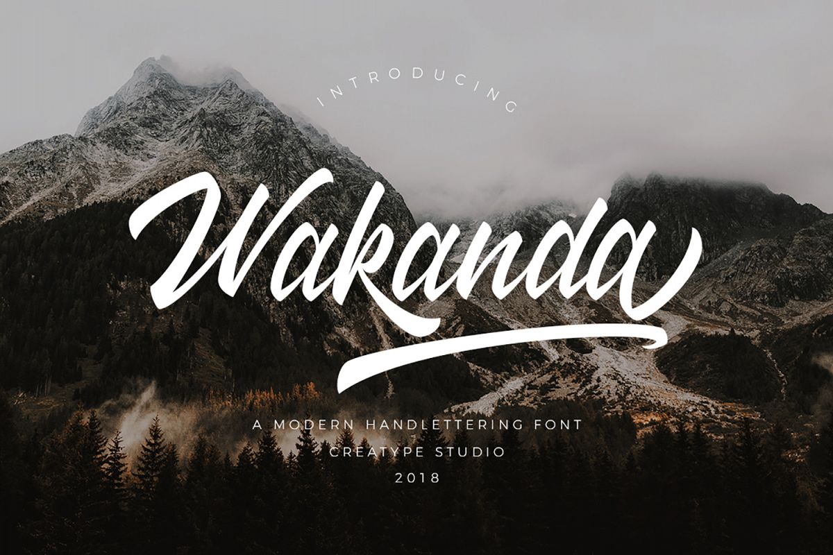 Wakanda Script Font example image 1