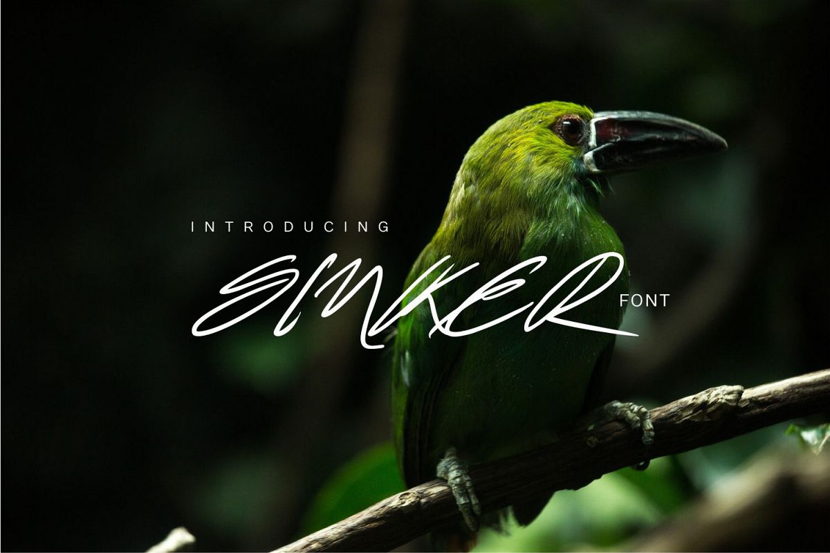 Sinker example image 1