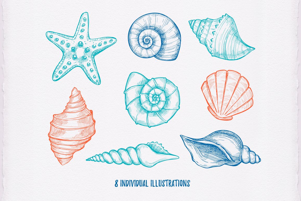 手繪 綠色 海螺 貝殼, 貝殼剪貼畫, 海貝殼, 花殼素材圖案，PSD和PNG圖片免費下載